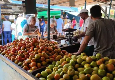 Cuba: Vicious Circle of Capping Prices Amid Less Production