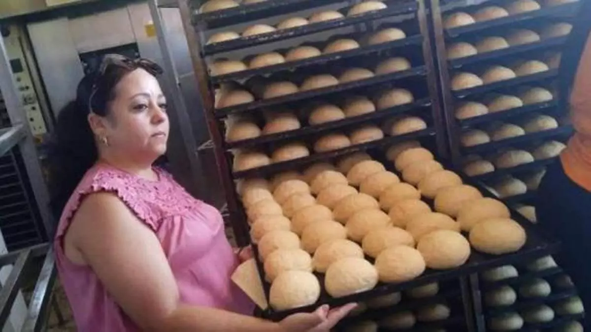 Possible Alternative Fuels for Cuba's Bakeries in Crisis