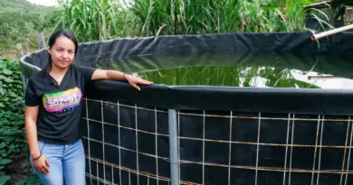 Guatemalan Farmers Working Double to Cope with the Drought