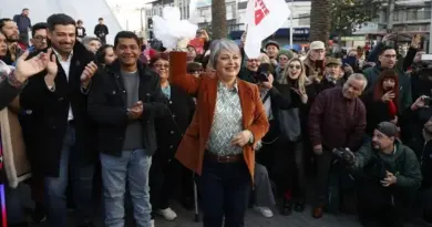 When Ideas Win Hearts but Parties Push People Away