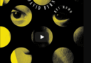 David Bryne – Song of the Day