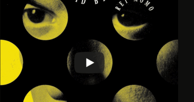 David Bryne – Song of the Day