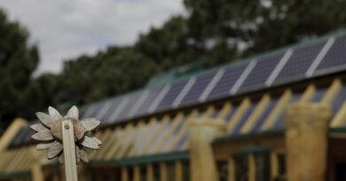 Uruguay Expands Solar Energy as Electricity Demand Increases