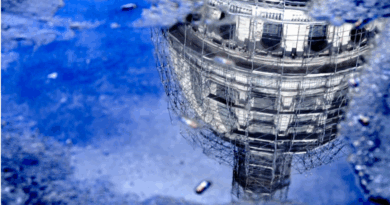 HT 2025 Photo Contest Finalists