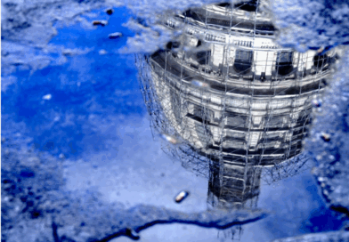 HT 2025 Photo Contest Finalists