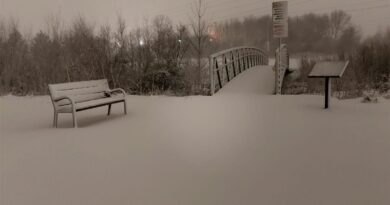 Our First Snow, Ontario, Canada – Photo of the Day