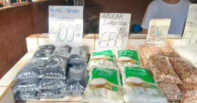 The Christmas Dinner Pig in Cuba Will Be Imported