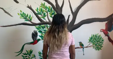 Families Are Suffering from Ramped Up US Deportations