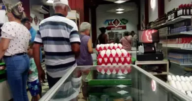 The Struggle for Eggs in Cuba is Solved with US Dollars