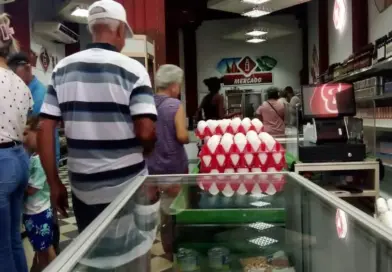 The Struggle for Eggs in Cuba is Solved with US Dollars