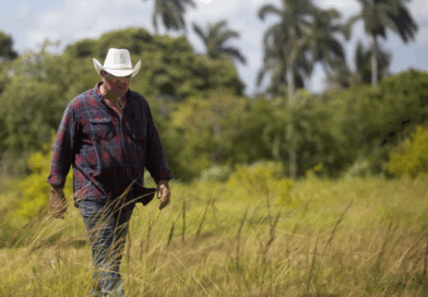 The Hurricane and the Food Shortage in Eastern Cuba