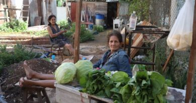 Havana Weather for November 27 to December 3