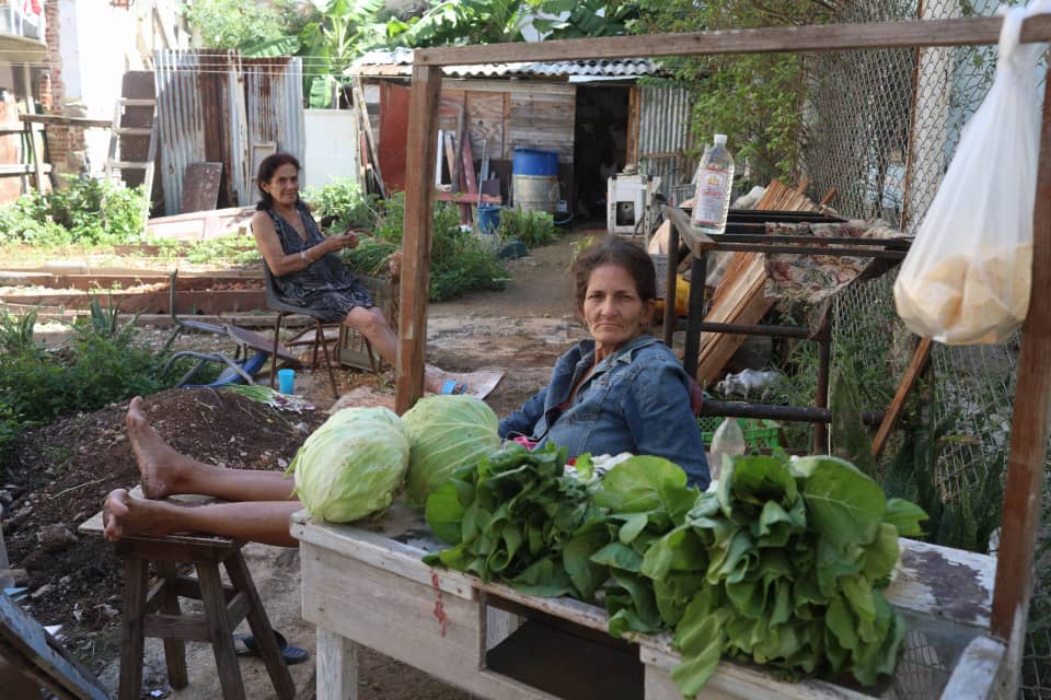 Havana Weather for November 27 to December 3
