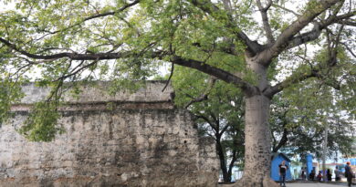 Help Havana Times Continue in 2026