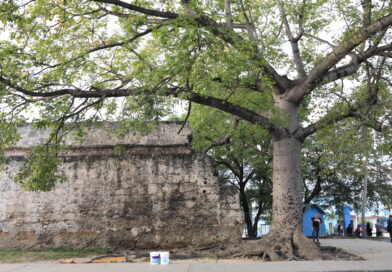 Help Havana Times Continue in 2026