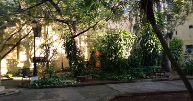 A Visit to the Alexander von Humboldt Park in Havana