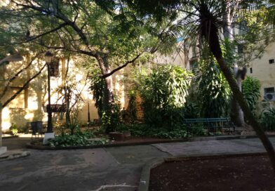 A Visit to the Alexander von Humboldt Park in Havana