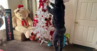 Migrants in the USA Beg To Be “Invisible” at Christmas