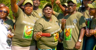 Kenya: Landmark Ruling Restores Seed Freedom