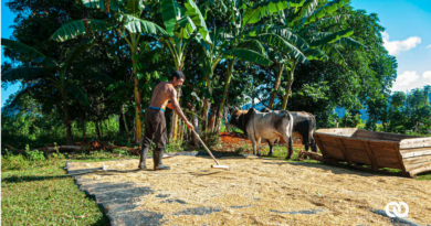 More Gov. Control Over Foreign Currency and Cuba’s Farmers