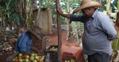 Rural Cuba Is Emptying Out