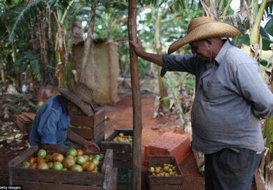 Rural Cuba Is Emptying Out