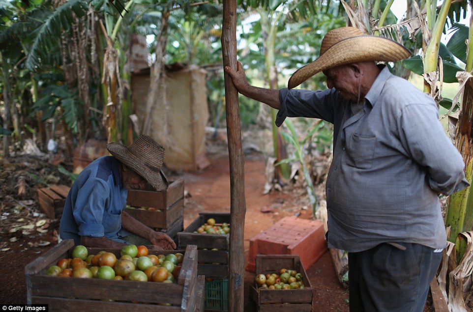 Rural Cuba Is Emptying Out