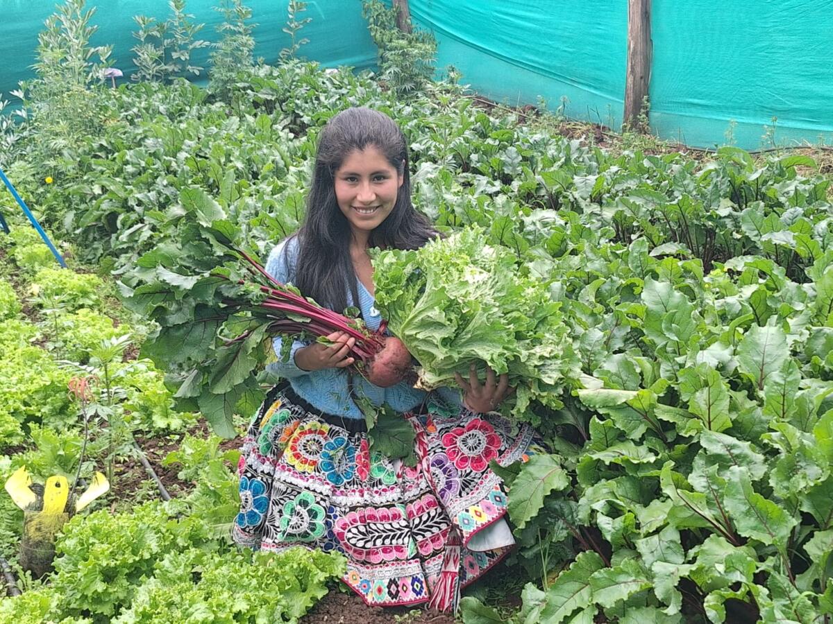 Peru: Fair Markets for Agroecology Require Political Will