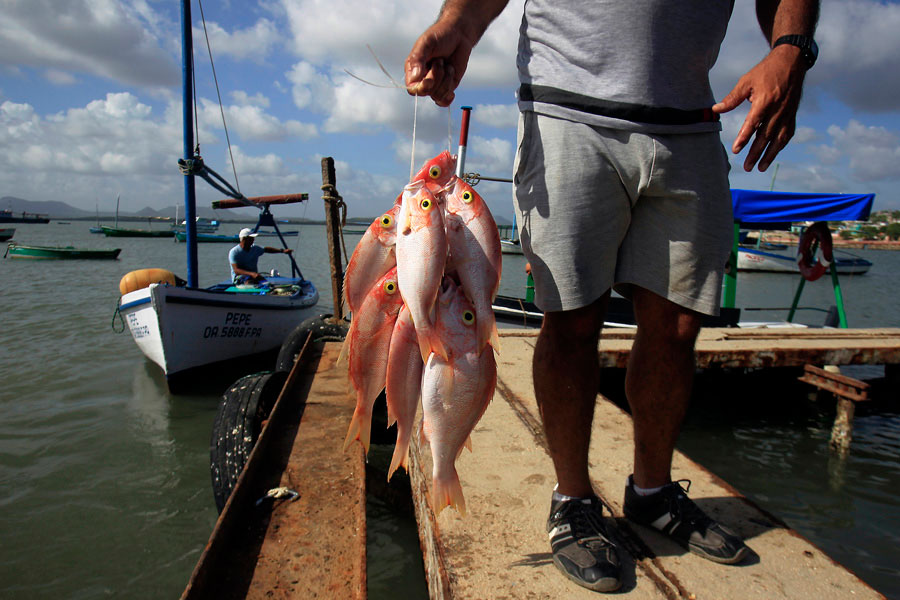 Cuba Still Awaits the Unlikely Miracle of Fish