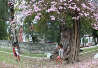 People of Today’s Cuba