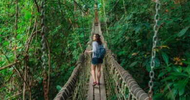 Thirty Dollars to Destroy Nature, One Dollar to Protect It