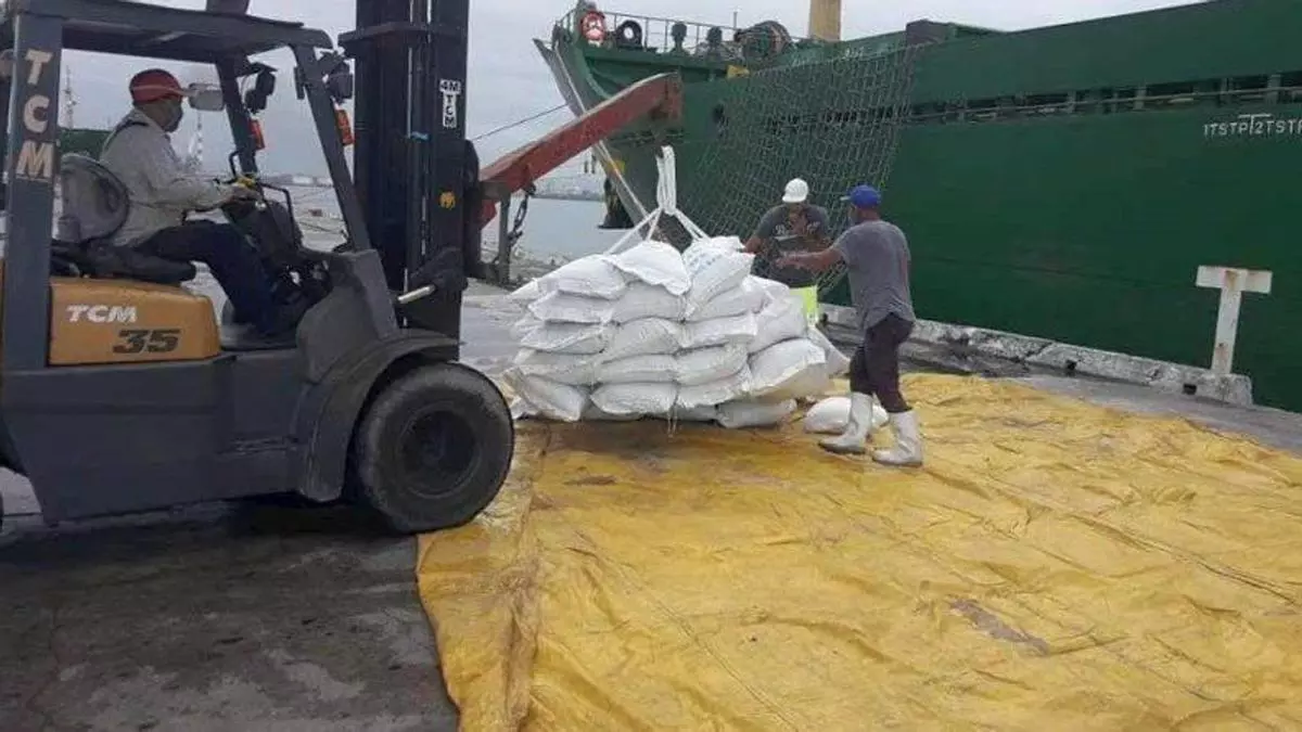 Is It Better for Cuba to Import Rice or Grow It?