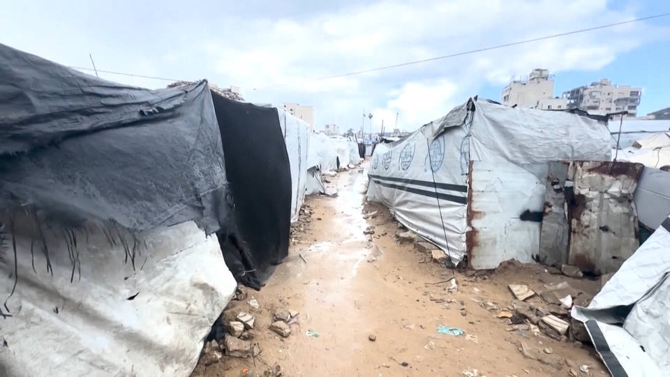 International News Briefs for Friday, December 31, 2025