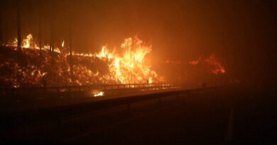 Wildfires and the Unsustainable Forestry Model in Chile